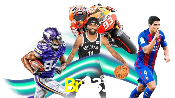 Br333