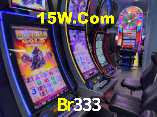 Br333 App