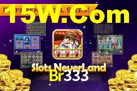 VIP Casino Br333