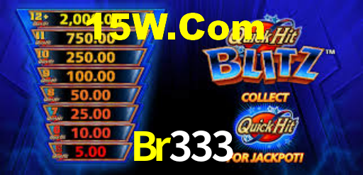 Br333 App
