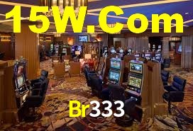 Programa VIP Br333